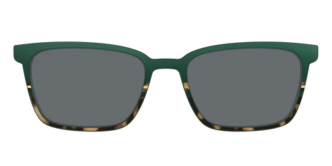 The Polarized Spruce Tortoise Sun Top