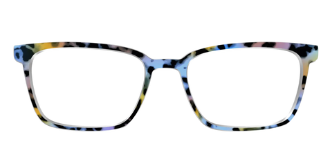 The Positano Tortoise