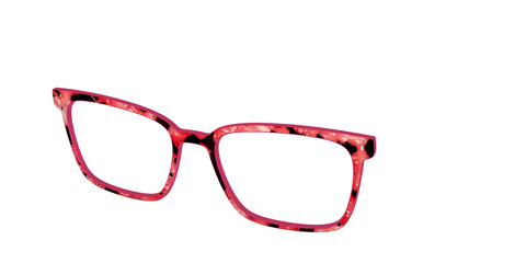 The Red Agate Pearl Tortoise