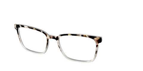 The Vanilla Latte Tortoise
