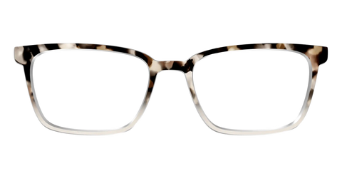 The Vanilla Latte Tortoise