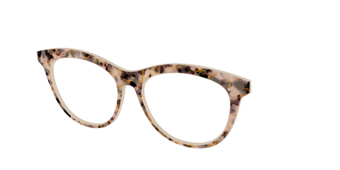 The Almond Tortoise with Gold Streaks