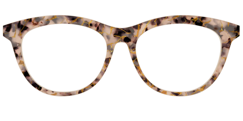 The Almond Tortoise with Gold Streaks