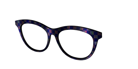 The Black Holographic Check