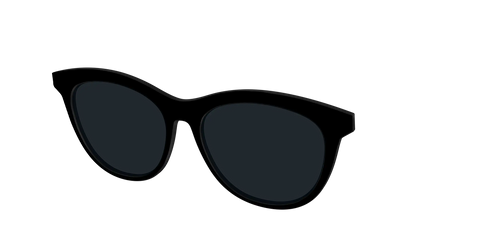 The Non-Polarized Black Sun Top