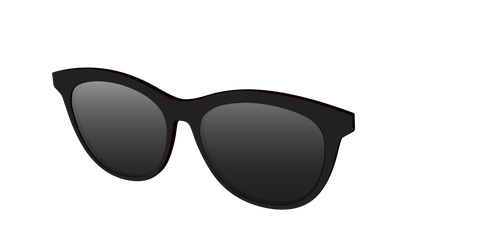 The Polarized Black Sun Top