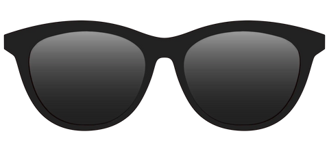 The Polarized Black Sun Top