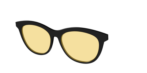 The Black With Citrine Yellow Lens