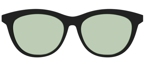 The Black With Sage Green Lens