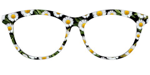 The Delicate Daisies