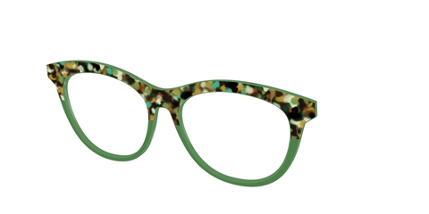 The Forest Tortoise Crystal Split