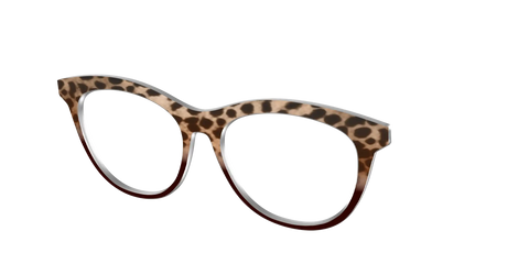 The Jungle Cat Tortoise