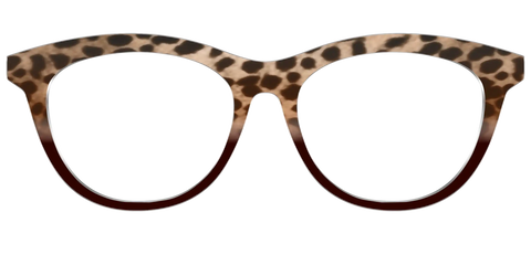 The Jungle Cat Tortoise