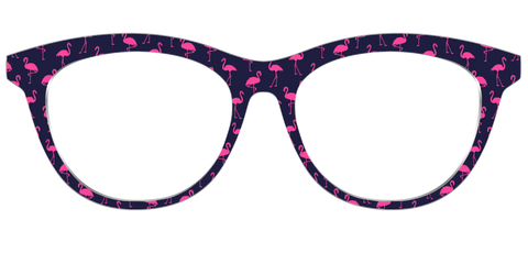 The Navy Flamingos