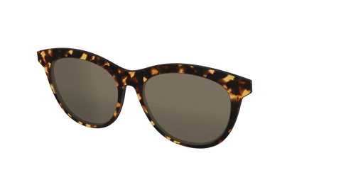The Non-Polarized Tortoise Sun Top