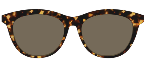 The Non-Polarized Tortoise Sun Top