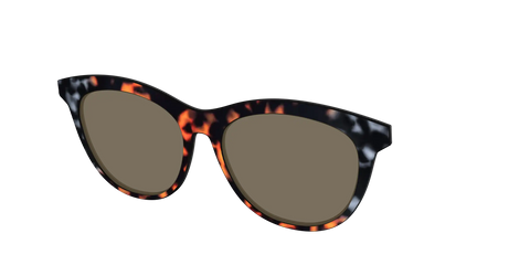 The Polarized Gray & Amber Tortoise Sun Top