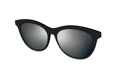 The Polarized Silver Reflective Sun Top