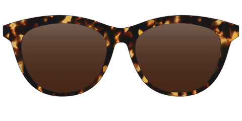 The Polarized Tortoise Sun Top