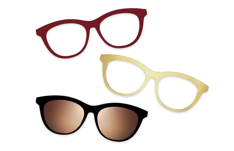 Tortoise - Set