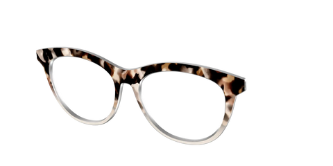 The Vanilla Latte Tortoise