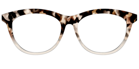 The Vanilla Latte Tortoise