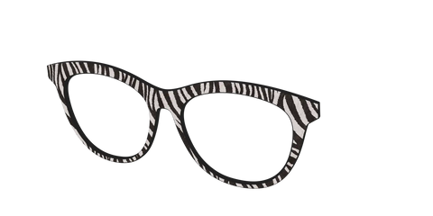 The Zebra Stripes