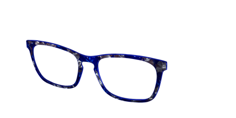 The Admiral Blue Pearl Tortoise
