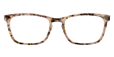The Almond Tortoise with Gold Streaks