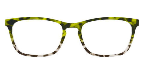 The Avocado to Ivory Tortoise