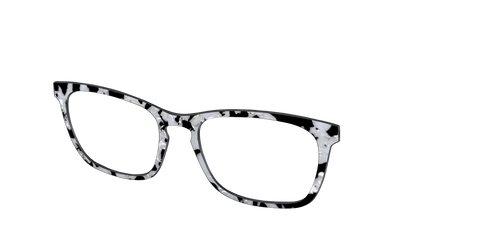 The Black & White Pearl Tortoise