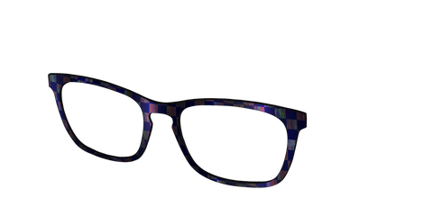 The Black Holographic Check