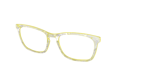The Buttercup Pearl Tortoise