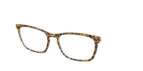 The Cheetah Spots