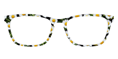 The Delicate Daisies