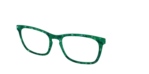 The Emerald Pearl Tortoise