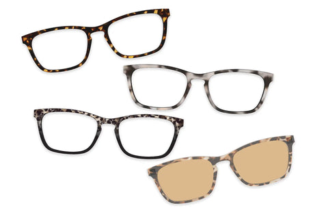The Everyday Tort Set