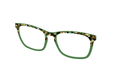 The Forest Tortoise Crystal Split
