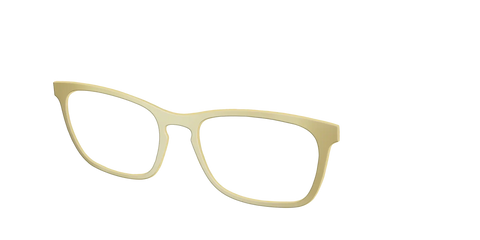 The Gold Mirror