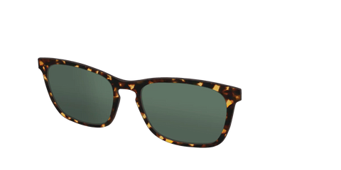The Non-Polarized Green Tortoise Sun Top