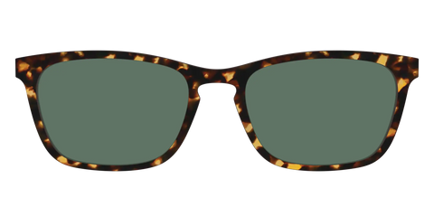 The Non-Polarized Green Tortoise Sun Top