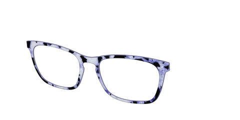 The Lilac Pearl Tortoise