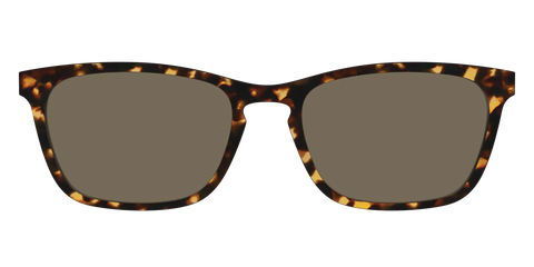 The Non-Polarized Tortoise Sun Top