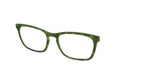 The Olive Geo