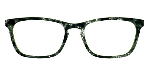 The Olive Pearl Tortoise