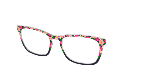 The Plumeria Crown