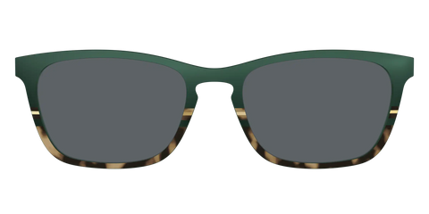 The Polarized Spruce Tortoise Sun Top