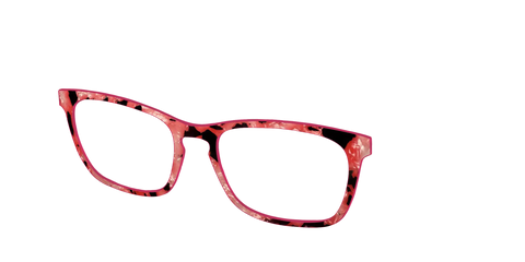 The Red Agate Pearl Tortoise