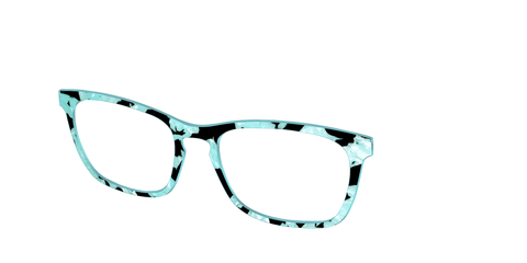 The Robin's Egg Pearl Tortoise