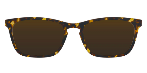 The Polarized Tortoise Sun Top